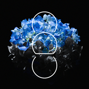 黄软下载推荐排行
