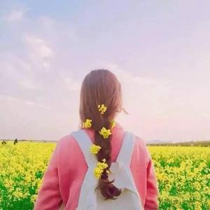 黄软下载推荐排行
